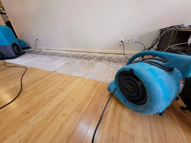 Professional Emergency Water Damage technician working in Cumberland Furnace, TN